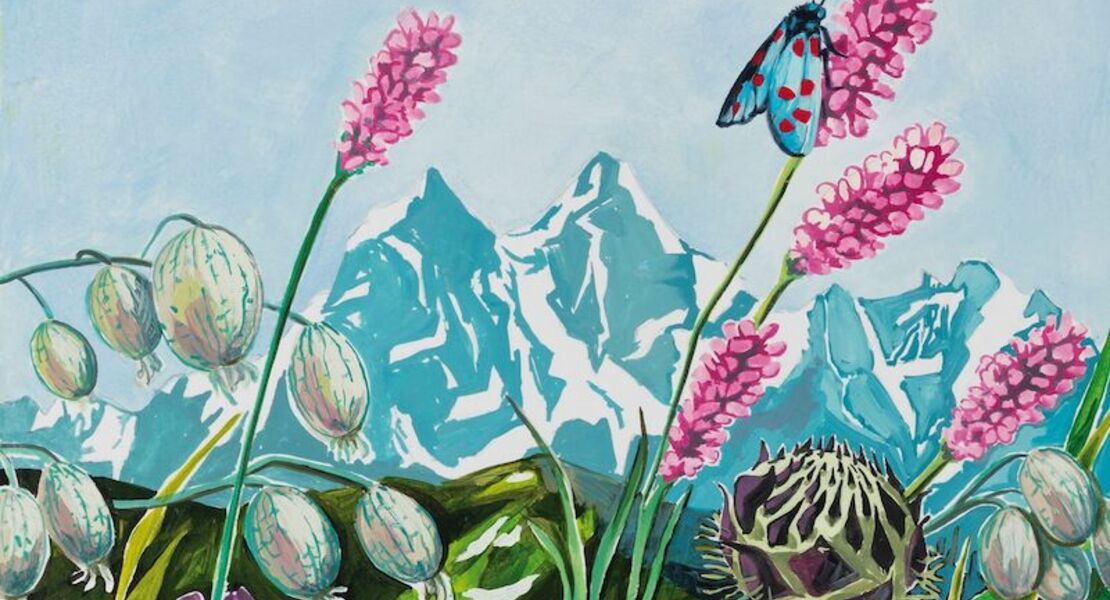 kat-menschik-durch-den-wilden-kaukasus