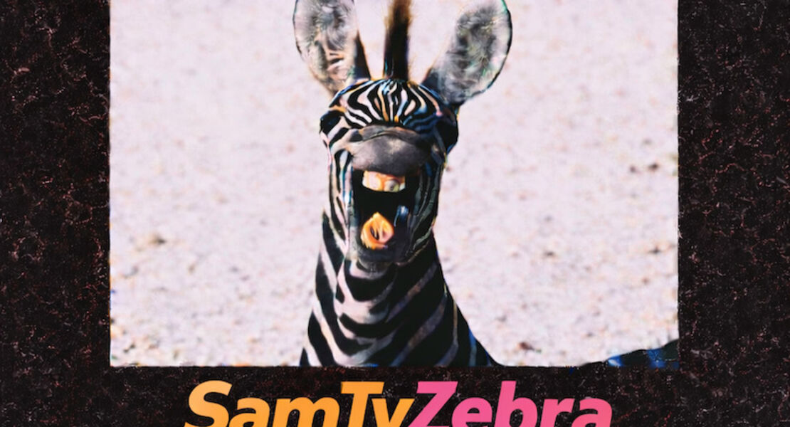 samtyzebra-zebra-friends-live-rock