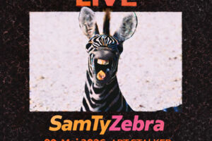 SamTyZebra - Zebra & Friends Live - Rock