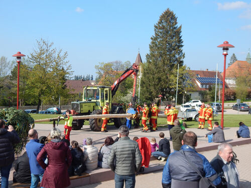 maibaumstellen-und-maibaumfest