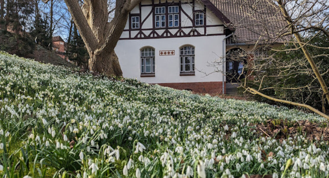 wortlaut-die-lesebuhne-im-literaturhaus