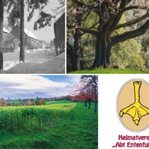 kieselbronner-fotografen-sehen-ihren-ort