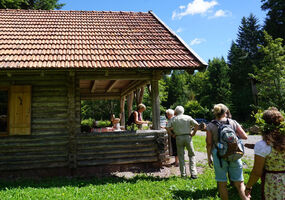 Geführte Wanderung mit Bewirtung