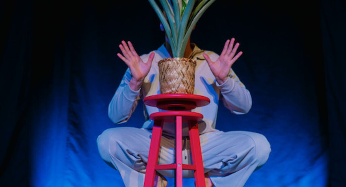 the-pineapple-commitment