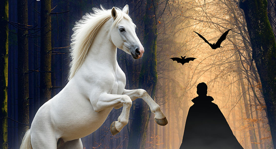 mystery-der-geheimnisvolle-traum-im-rahmen-der-nordpferd