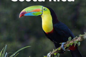 Costa Rica - Naturparadies zwischen Karibik uns Pazifik