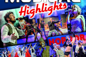 Musical Highlights Vol. 17 - Das Beste aus Musical und Film