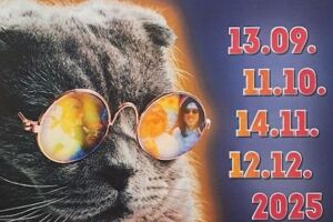 Boba Kitten - PURRANOID - Glamrock, Gags und Gitarren für den guten Swag!