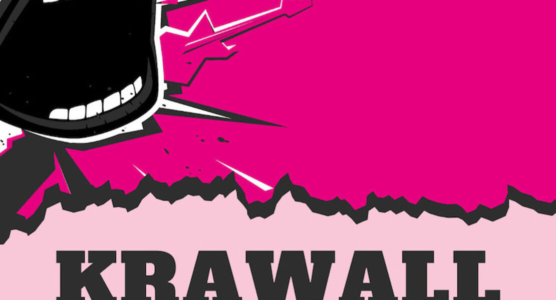 krawall-liebe-die-indie-party-im-kuz