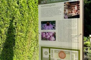 Führung: Zwischen Mythos und Medizin Die Heilkraft der Pflanzen