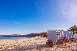 Strandsauna am Binzer Strand - Saunieren an der Ostsee