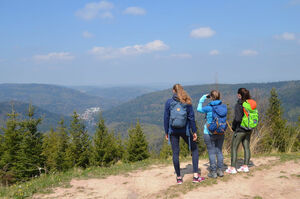 Geführte Wanderung | Dobel - Mehlweg - Wolfsschlucht - Grafenweg