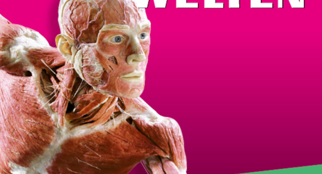 korperwelten-berlin-flex-geschenkticket