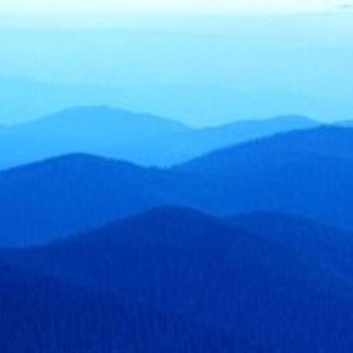 milch-in-der-zukunft