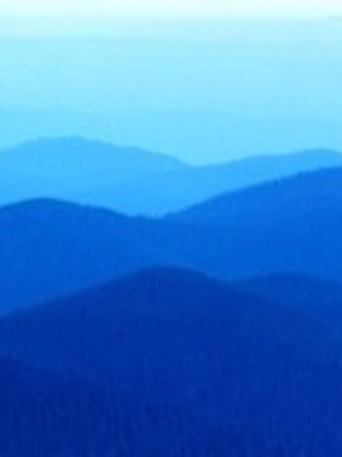 Milch in der Zukunft