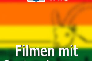 WS Filmen mit Systemkamera