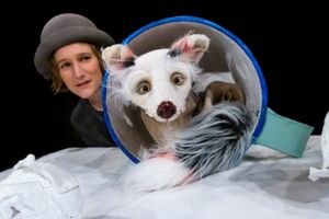 Lichtgestöber - Schneegefunkel - mit DGS