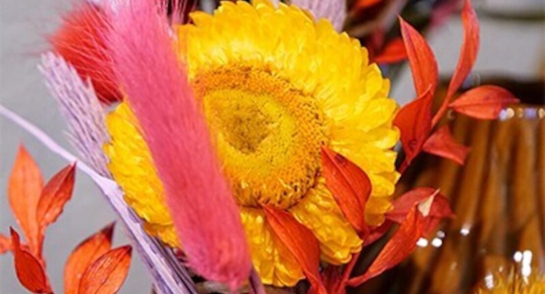 flower-loops-indian-summer