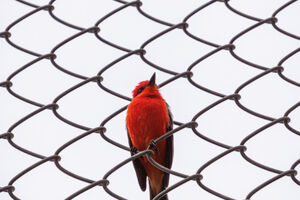 Das Gewicht der anderen