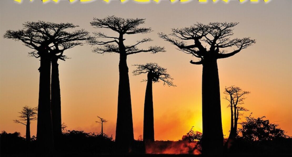 la-reunion-und-madagaskar-reisevortrag