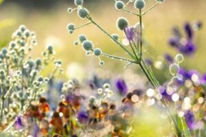 Der Foto-Workshop im Oktober