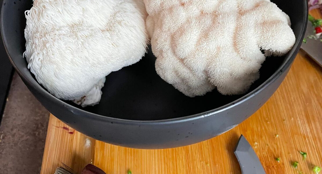 pilzabend-mit-krauterpadagogin-antje-mieves-pilze-wurzeln-genuss-wissen