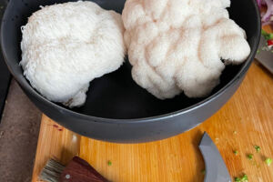 Pilzabend mit Kräuterpädagogin Antje Mieves: Pilze & Wurzeln, Genuss & Wissen