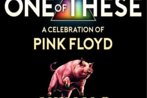 ONE OF THESE  Pink Floyd Tributes