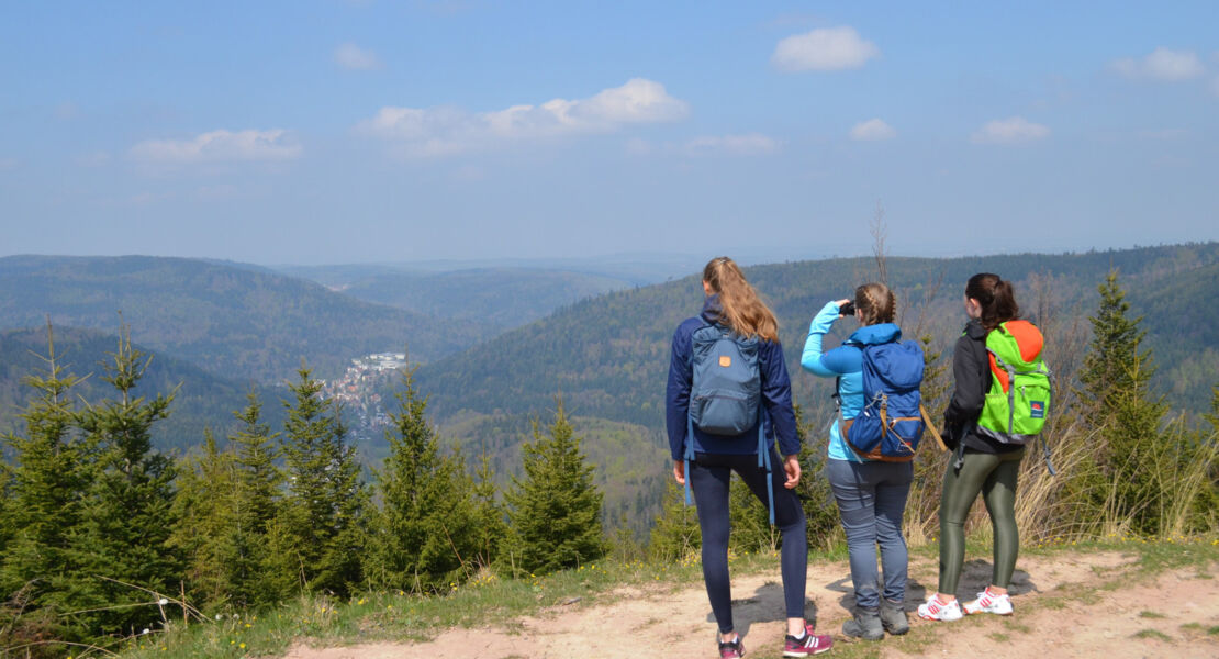 spazierwandern-im-heilklima-waldhistorischer-weg