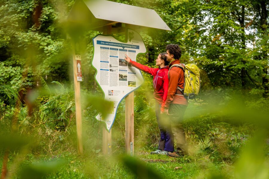 gefuhrte-wanderung-waldhistorischer-erlebnisweg