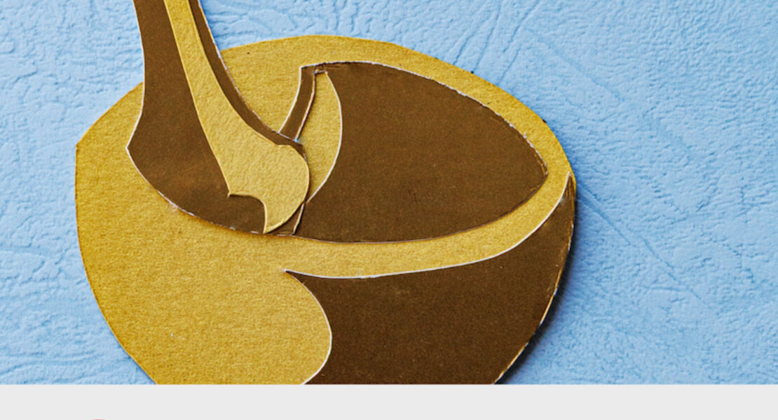 ganz-schon-schlau-gruppenvorstellung