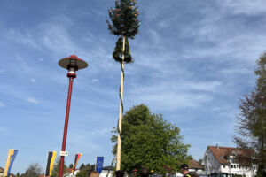 Maifest mit Maibaumstellen