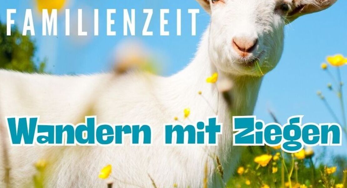 ziegenwanderung-tierisch-gute-familienzeit-strandbesuch-einmal-anders-mit-ziegen-zum-meer