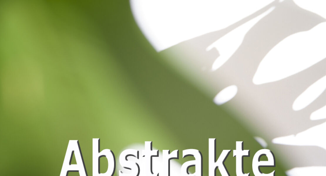 ws-abstrakte-naturfotografie
