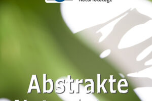 WS Abstrakte Naturfotografie