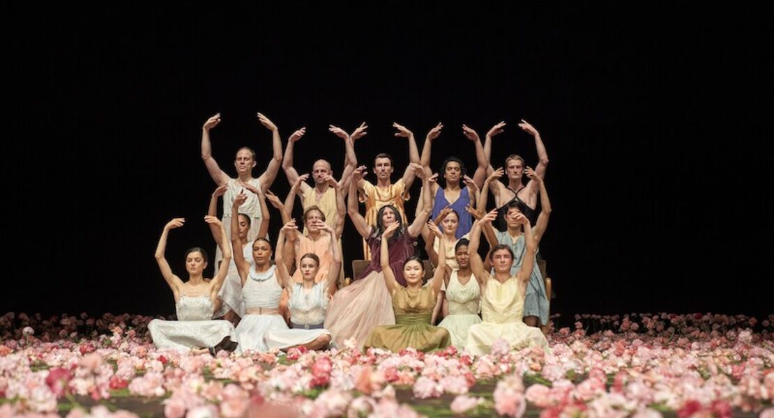 nelken-ein-stuck-von-pina-bausch