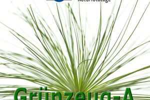 WS Faszination Grünzeug A