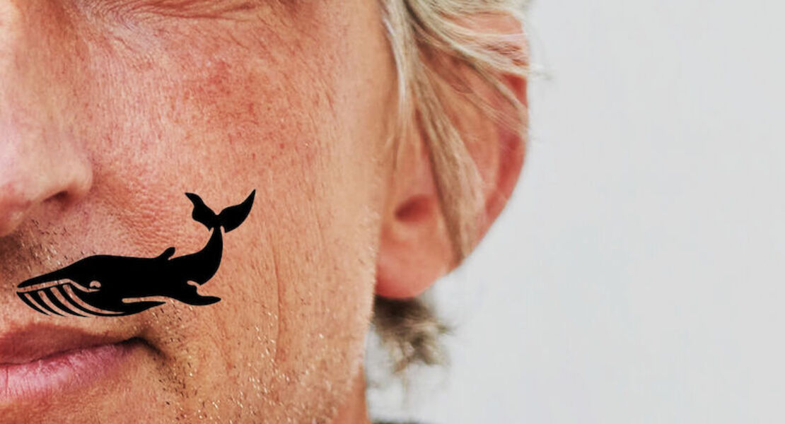 william-wahl-wahlweise