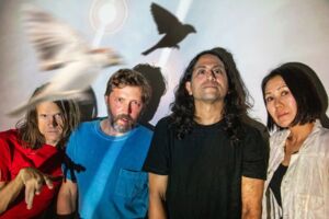 DEERHOOF - Support: MAGASIN