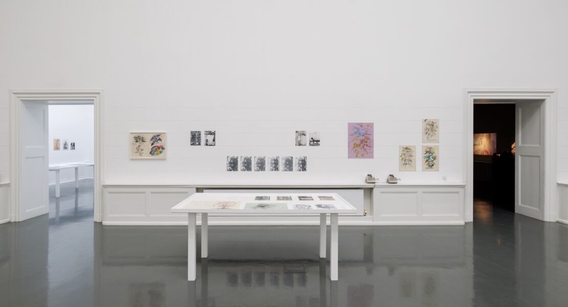 fuhrung-stefan-bertalan-und-plantsintelligence