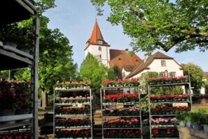 Sommerblumen und Geranienmarkt