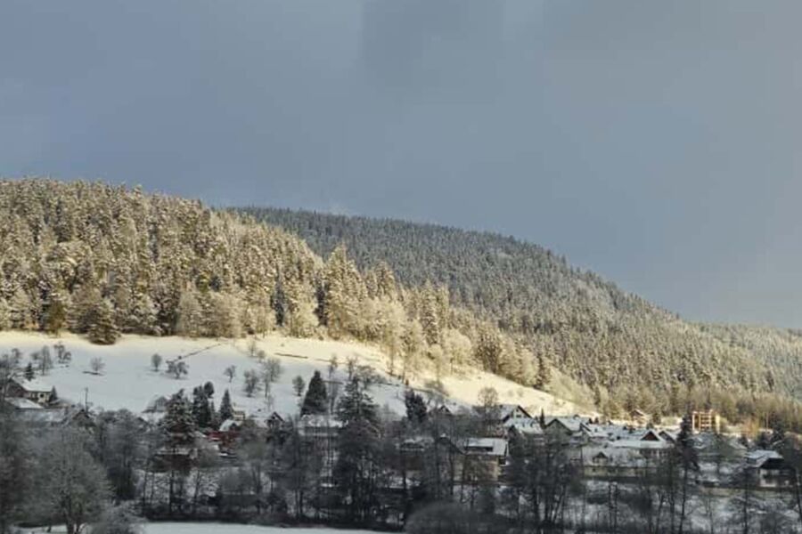 romantische-waldweihnacht-auf-der-erdbeerplatte