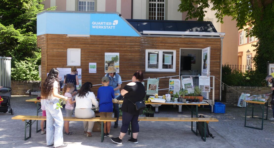 quartierwerkstatt-warmewende-und-mehr-grun-um-das-haus