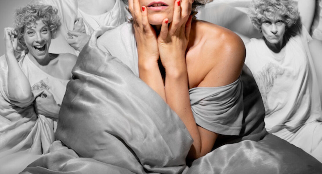 anna-schafer-schlafende-hunde