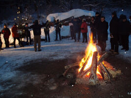 Waldweihnacht auf der Erdbeerplatte