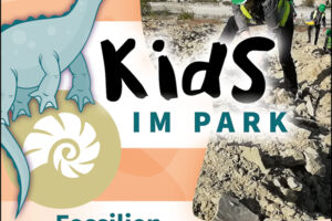 Kids im Park: Fossilien suchen & bestimmen