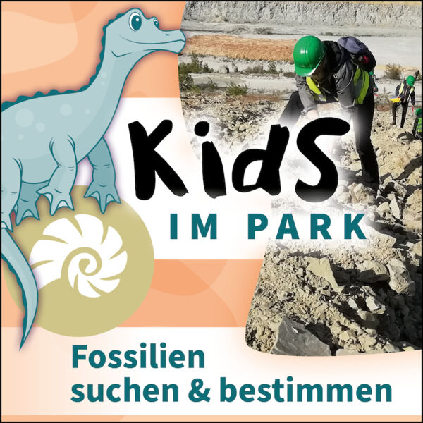 kids-im-park-fossilien-suchen-bestimmen