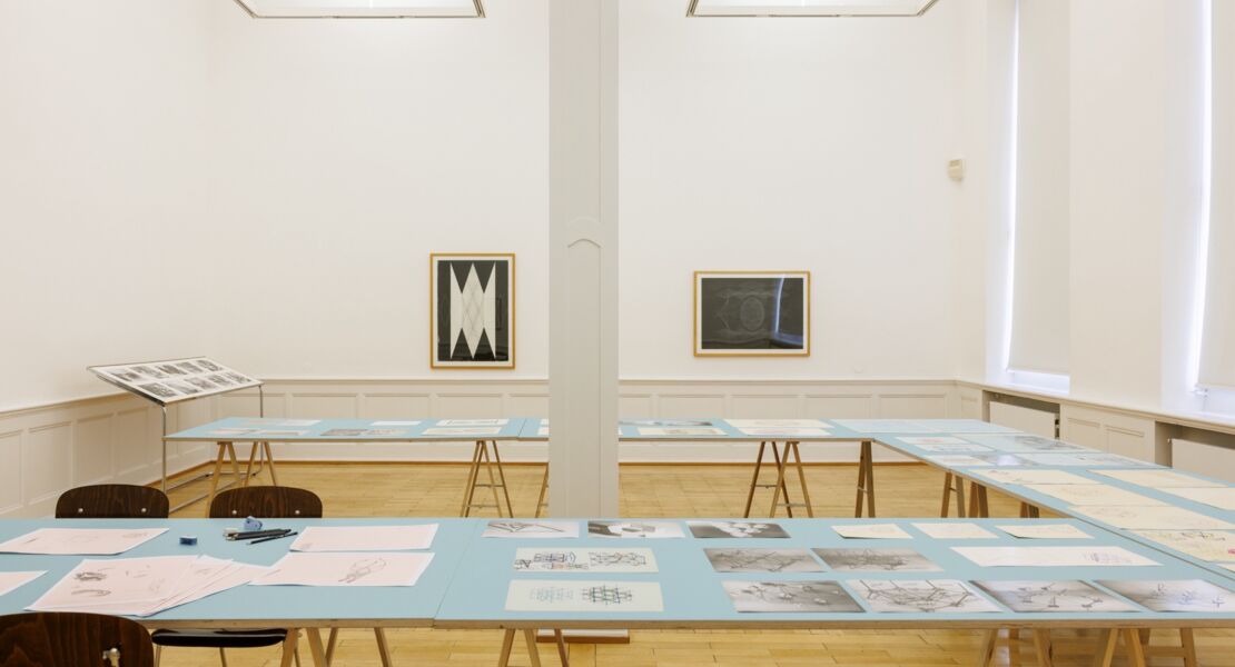 stefan-bertalan-ich-habe-130-tage-mit-einer-sonnenblume-gelebt