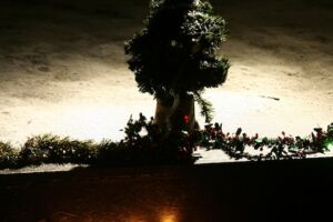 ADVENT, ADVENT EIN ENGLEIN BRENNT..... - Die etwas andere Weihnachtsrevue