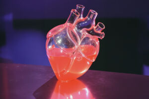 L´elisir d´amore - Melodramma giocoso in zwei Akten